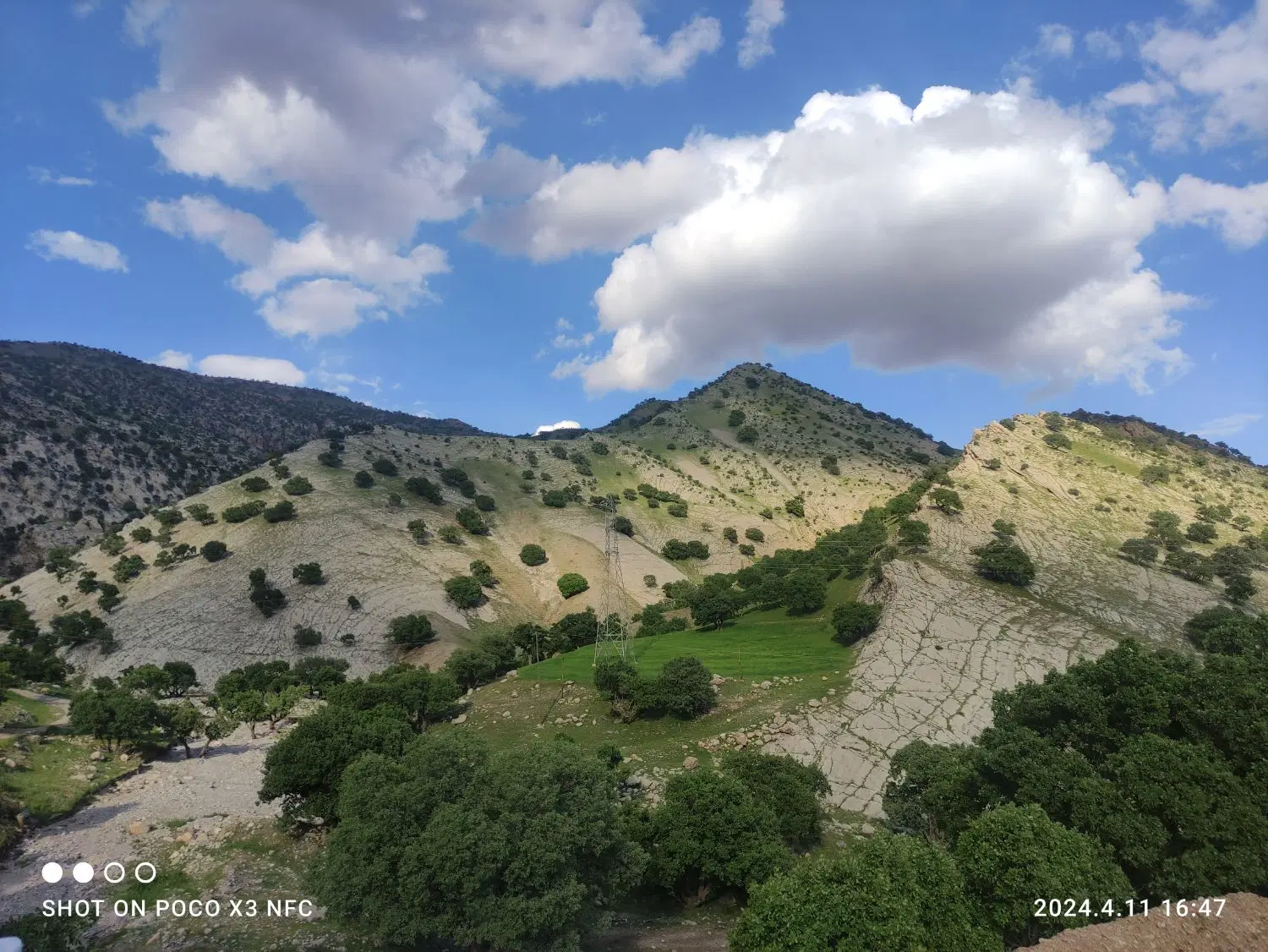 زمین پردیس