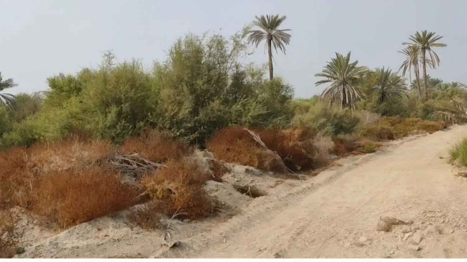 فروش زمین