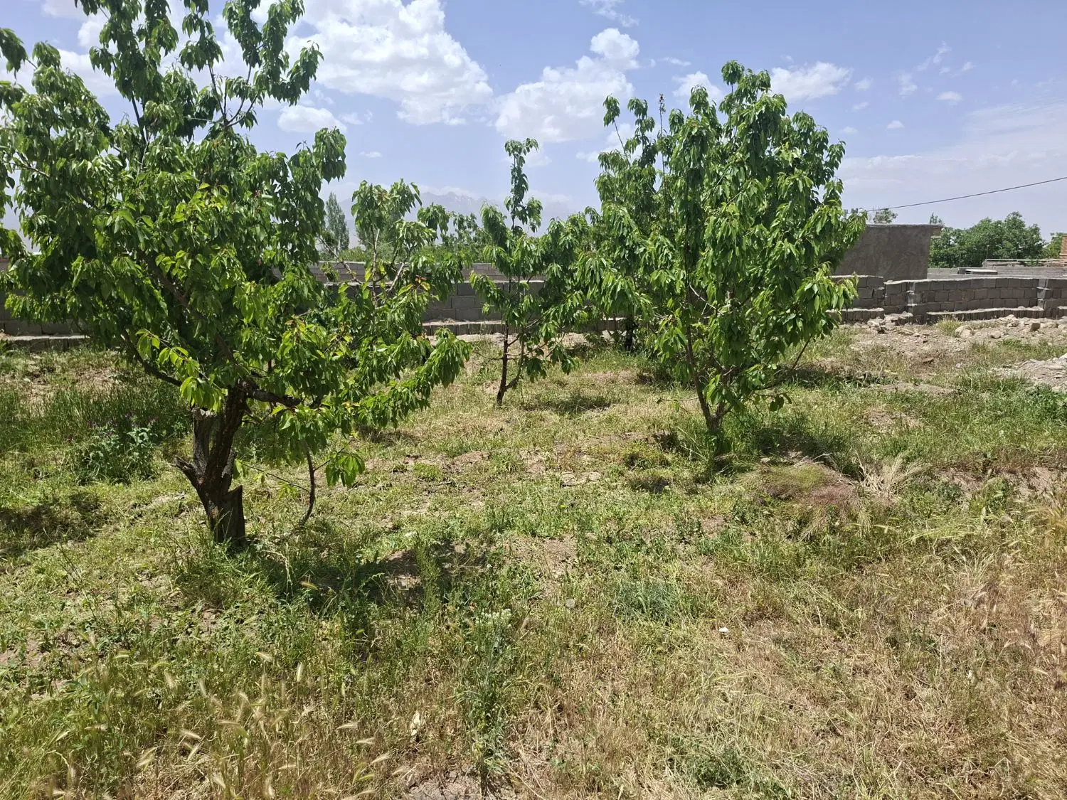 فروش خانه نیمه ساز روستای گردشگری سکنج ماهان