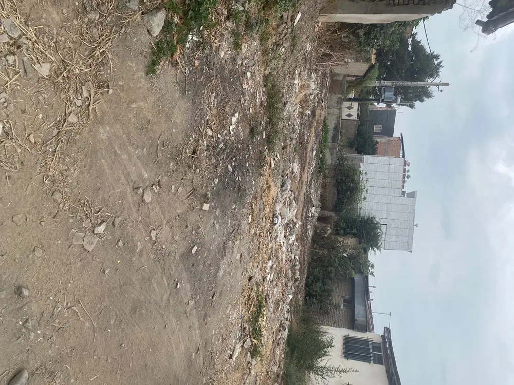 زمین