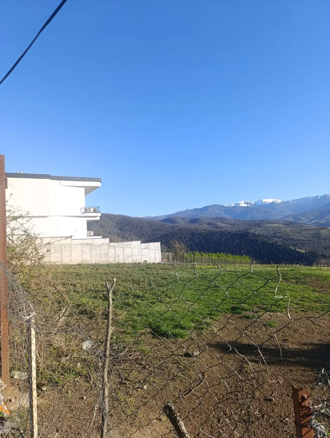 زمین باغی 500 متر روستای شیرکوه بر اصلی دو بر