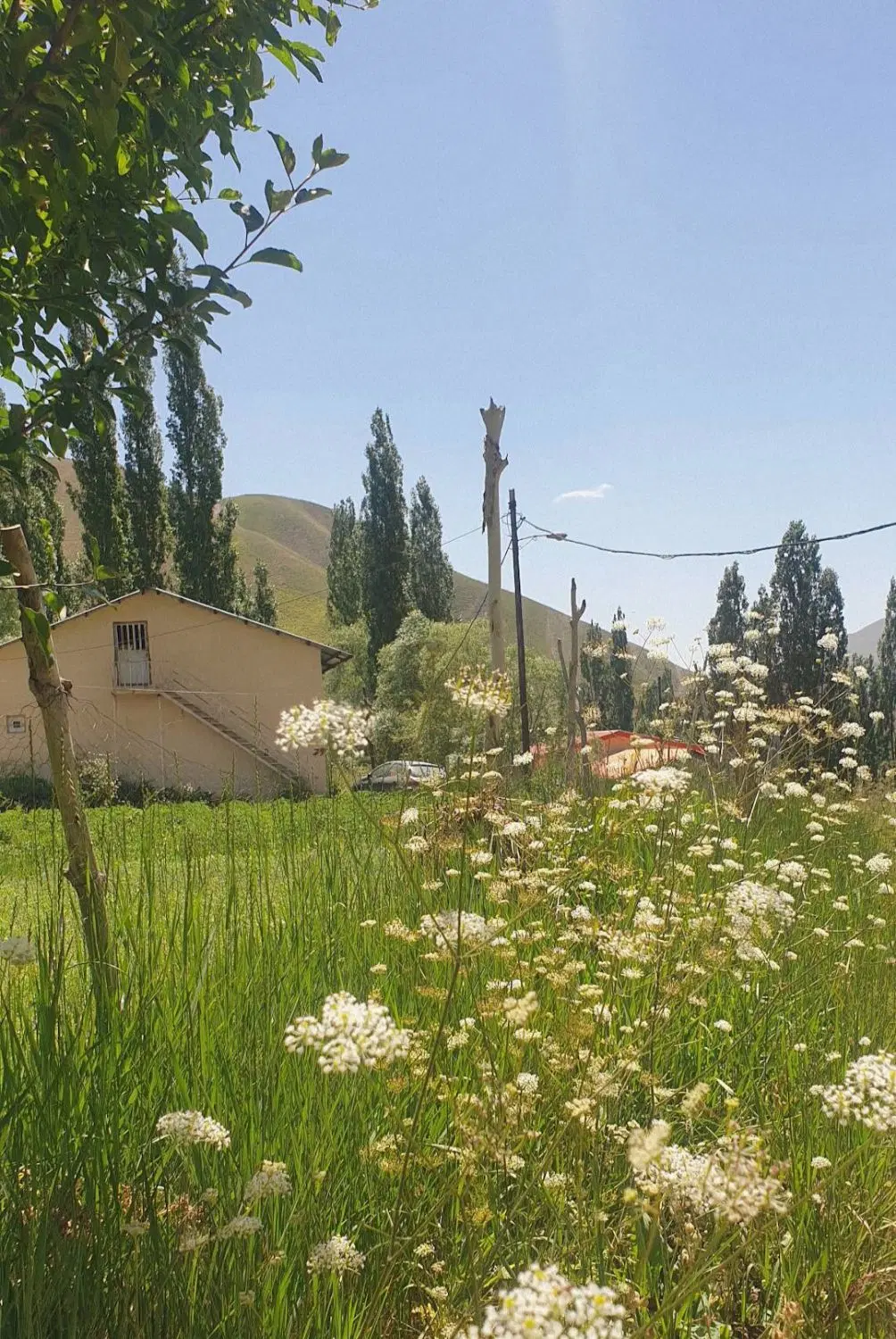 زمین جاده چالوس آزادبر