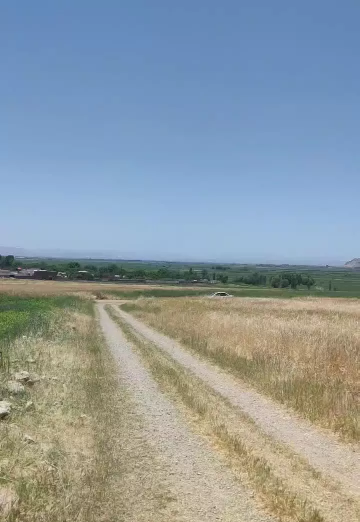 زمین باغی سرابله