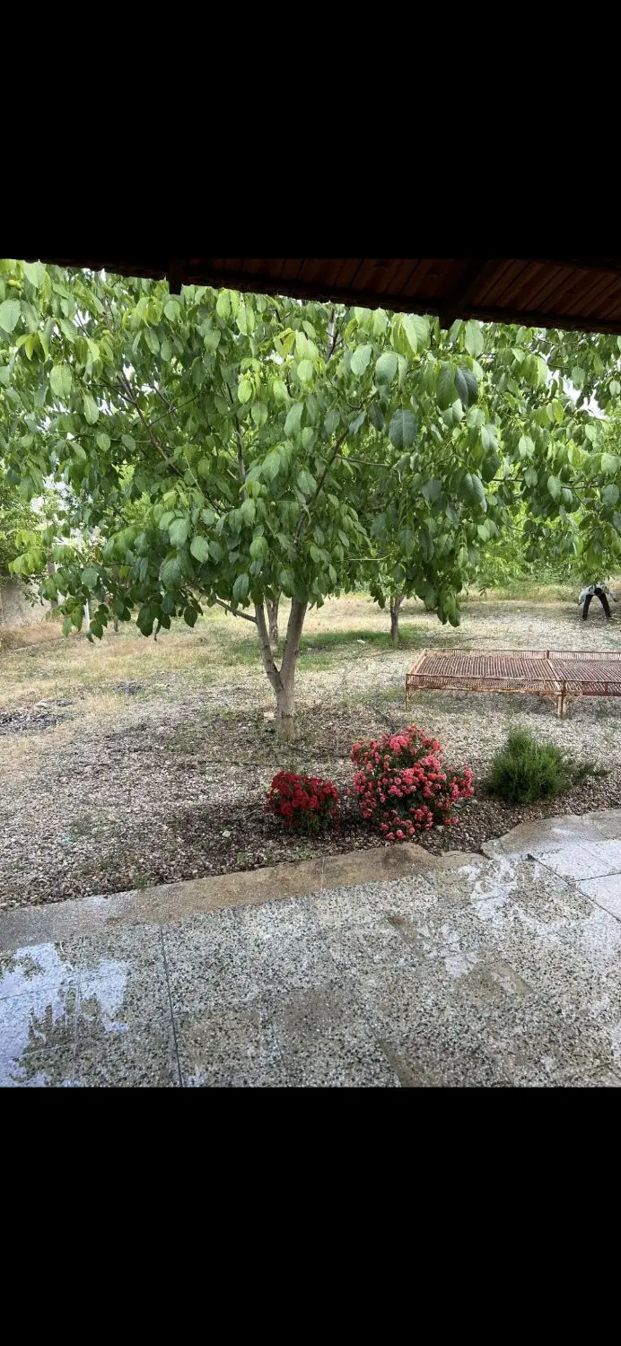 سوئیت. خانه اجاره ای .باغی