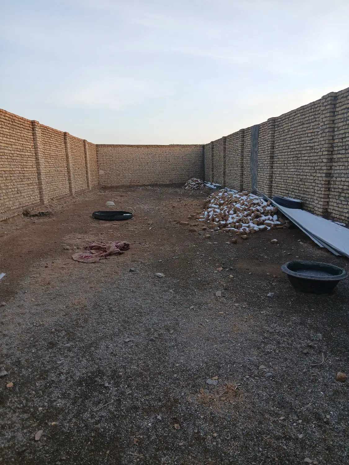 دامداری
