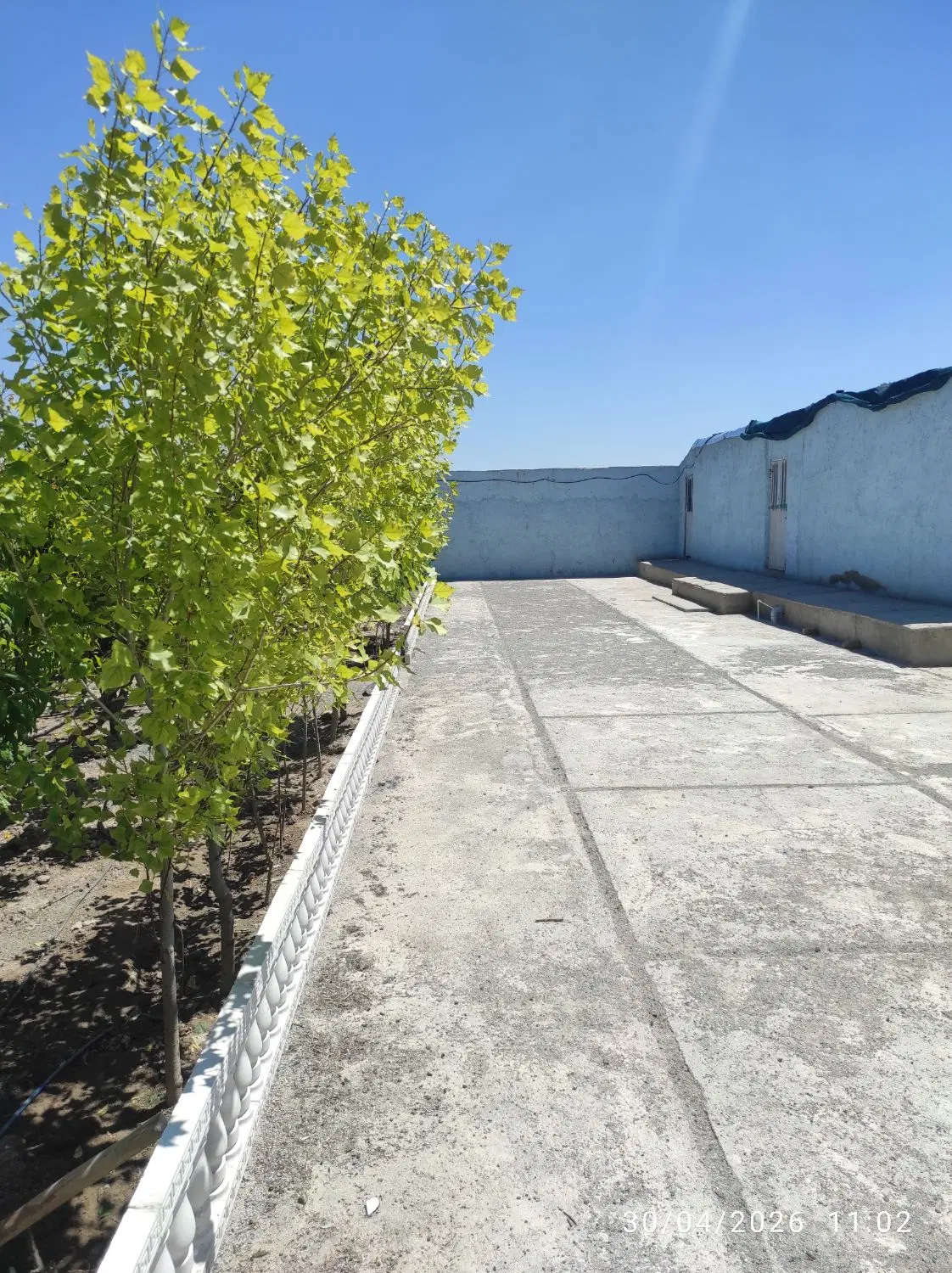 اجاره سوئیت ۳۰ متری