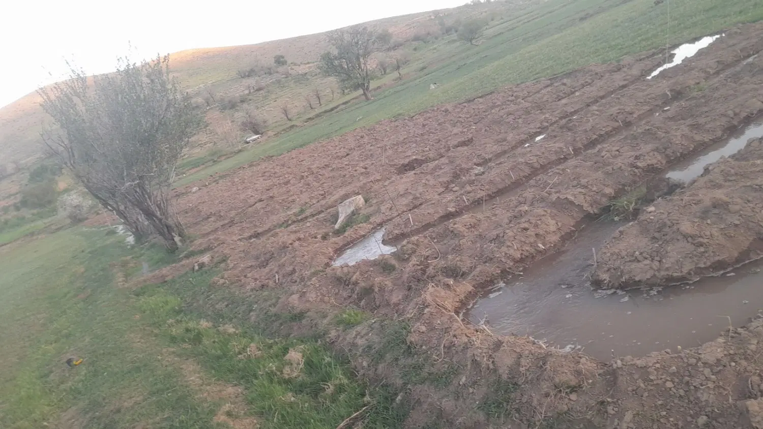 معاوضه زمین کشاورزی شهرکرد با زمین اصفهان