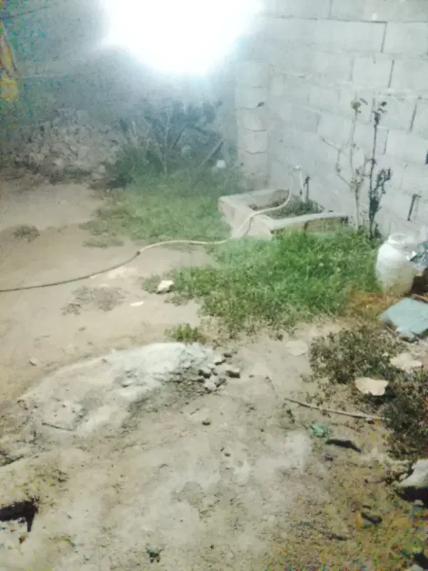 زمین فروشیچ