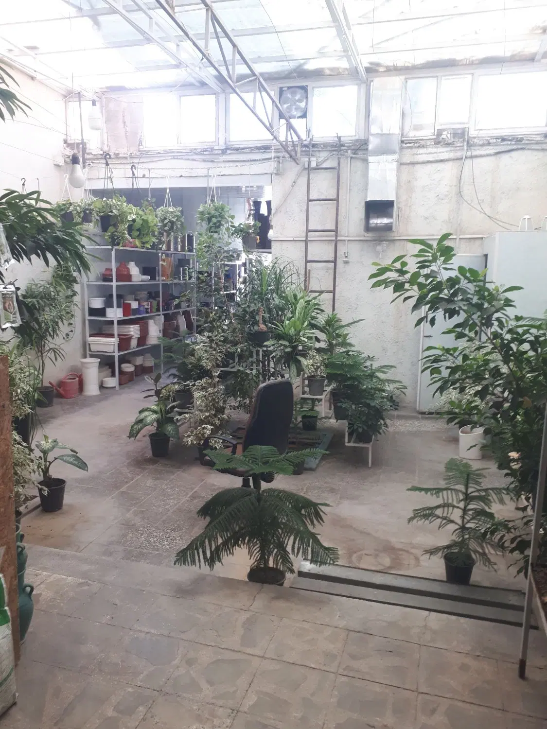 واگذاری یک باب مغازه گلفروشی