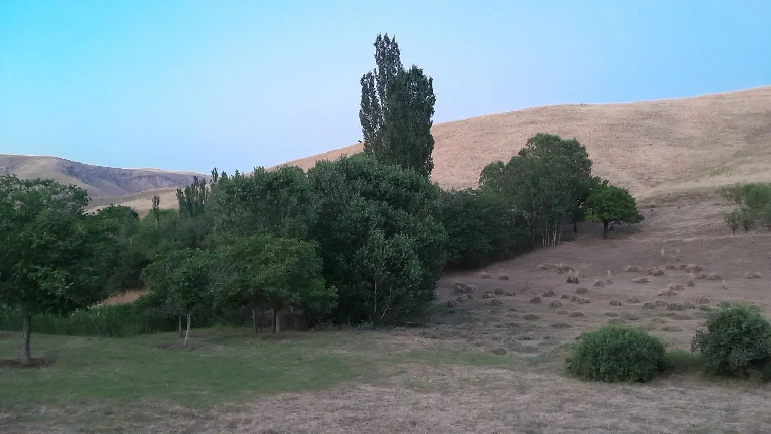 زمین در مرند با ۳ساعت آب (قیمت هرمتر ۲۰۰هزارتومان)