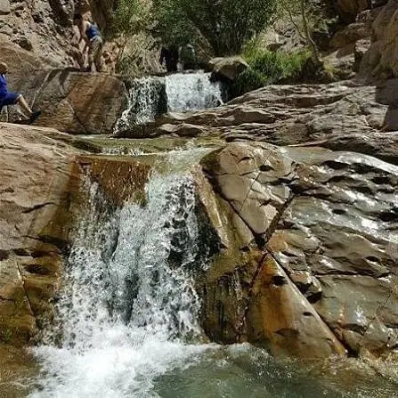 زمین سکنج