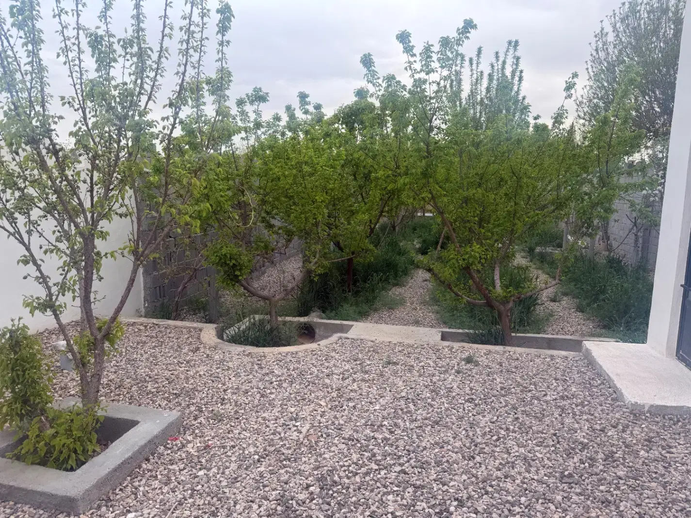 باغچه ۳۶۰ متری