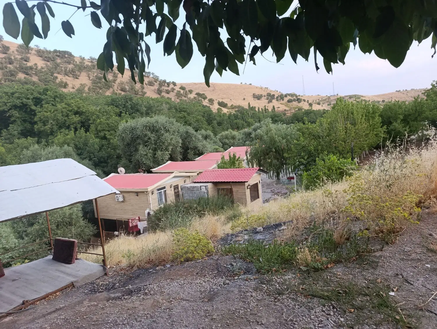 زمین طرح هادی