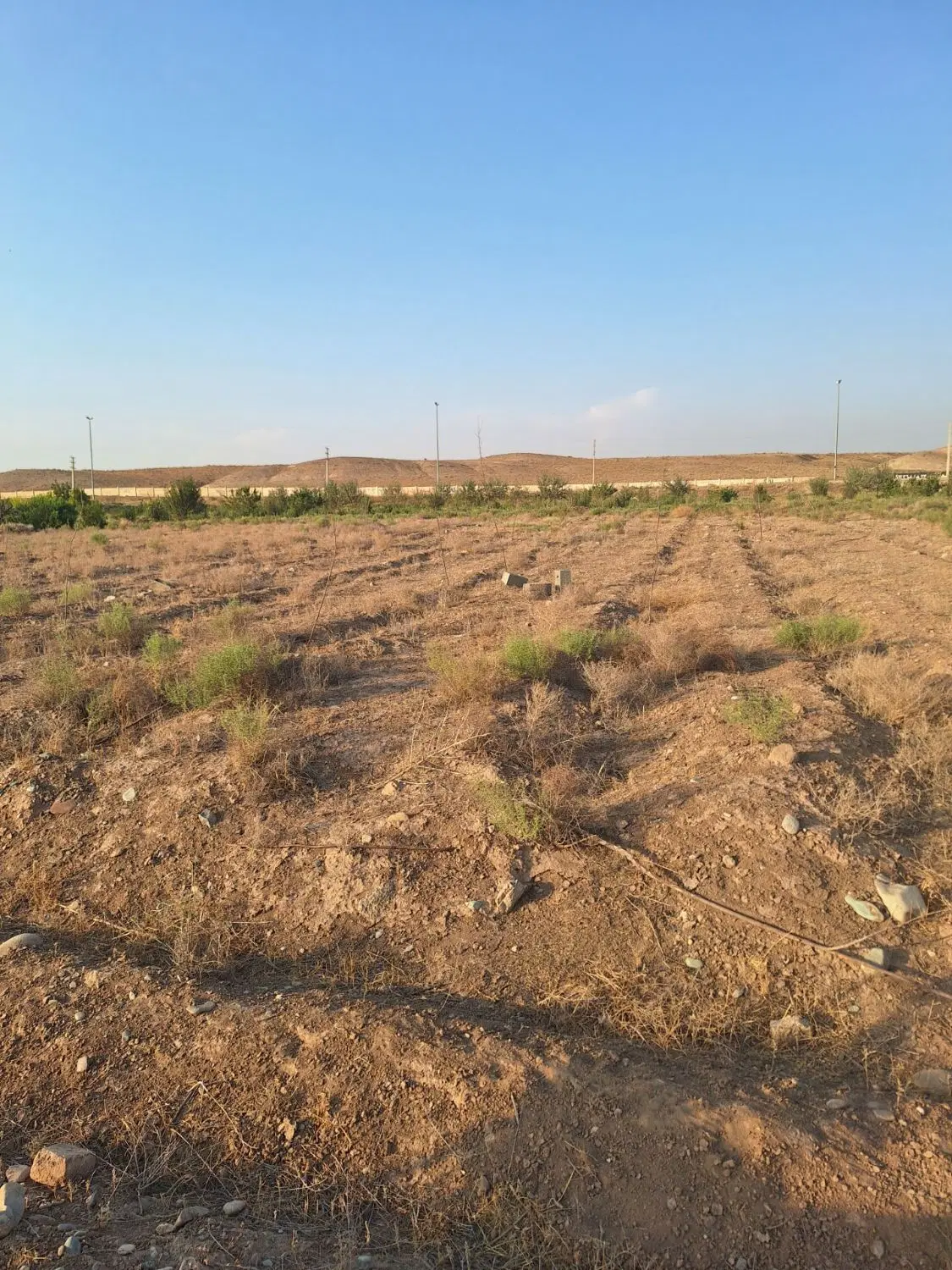 زمین کشاورزی مناسب باغچه