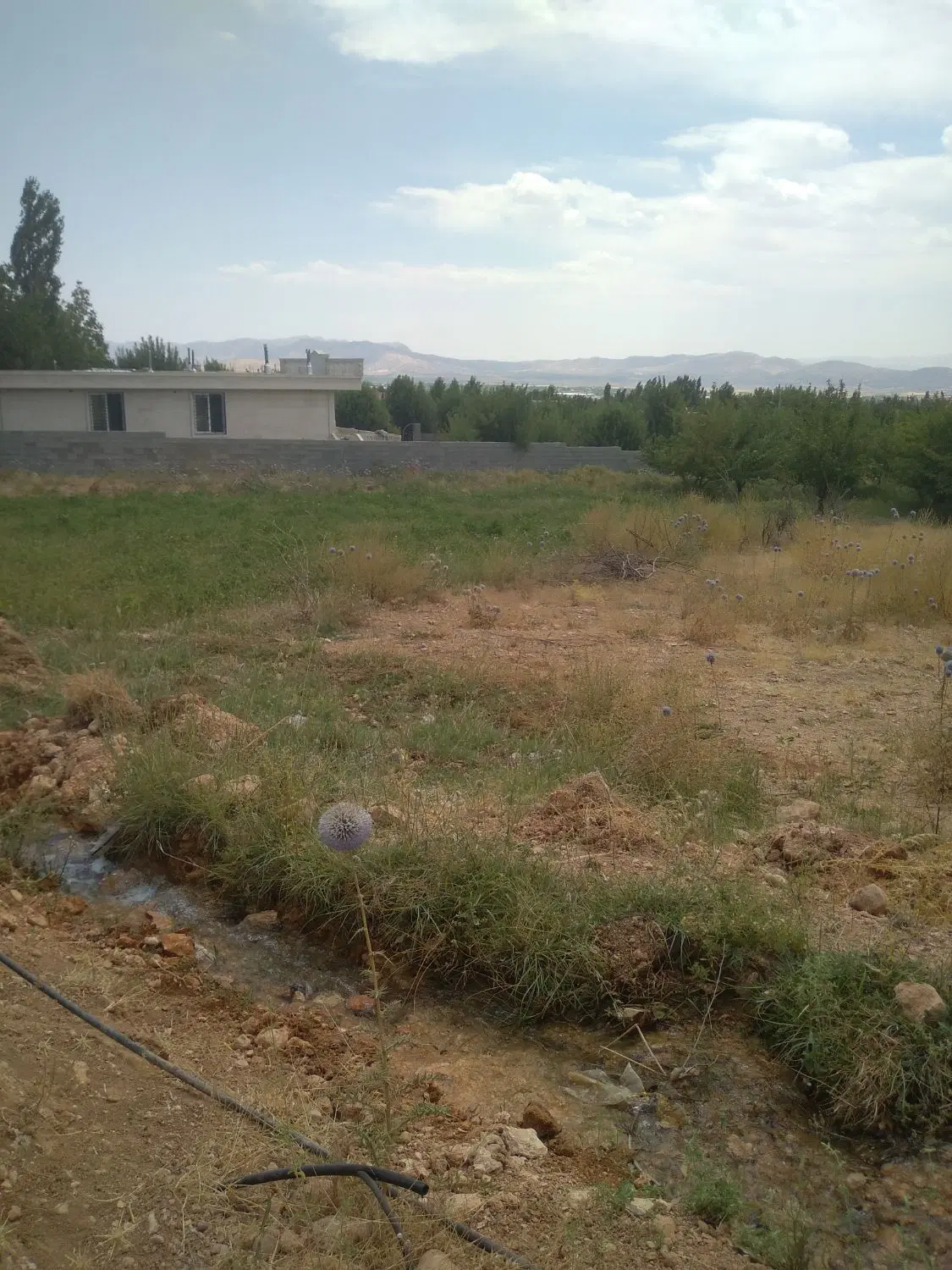 زمین (باغ شهری ) موقعیت عالی سپیدان همایجان
