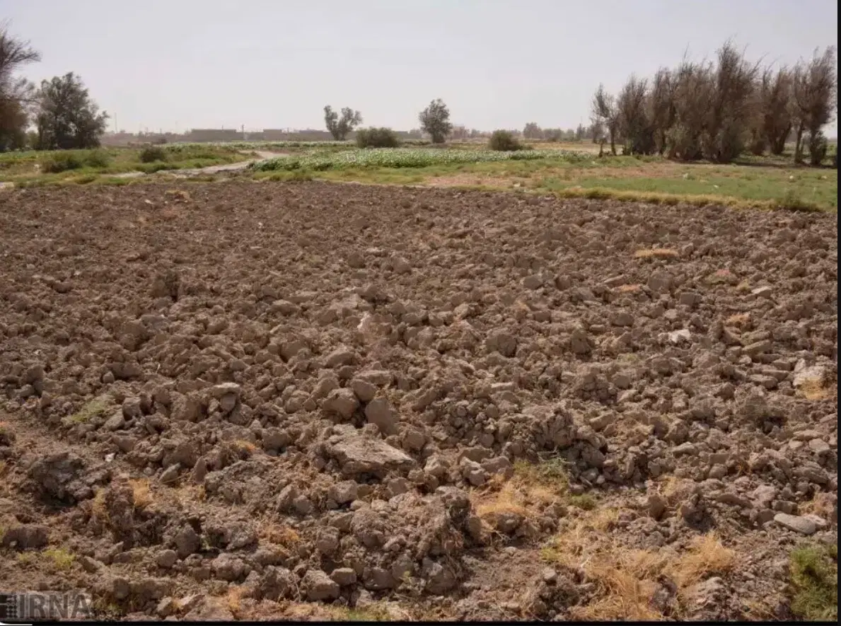 زمین کشاورزی بدون آب مناسب گندم کاری