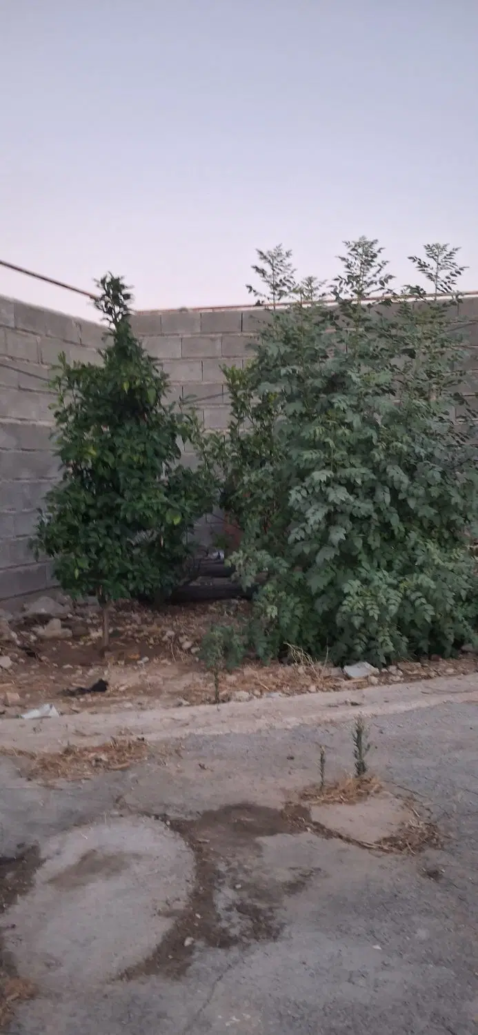 خونه ایخام سی رهن شهرک جانبازان