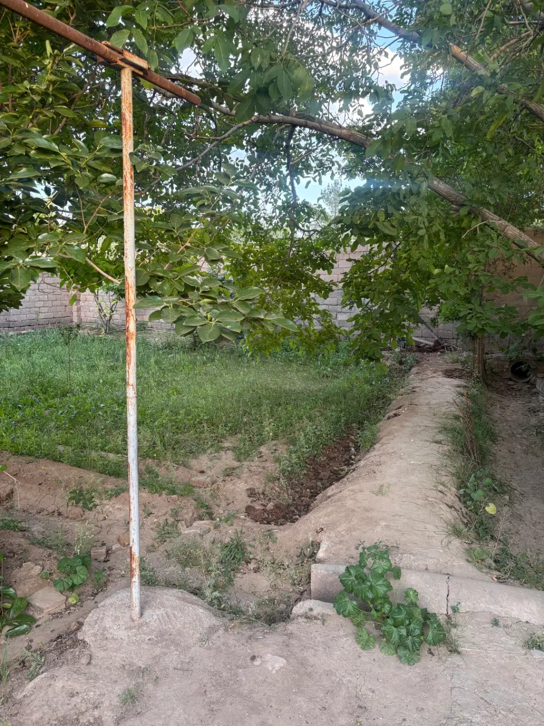 خانه باغ