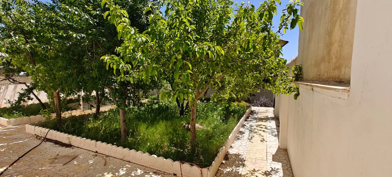 زمین ۲۷۷۰متر طالقان سند تک برگ معاوضه