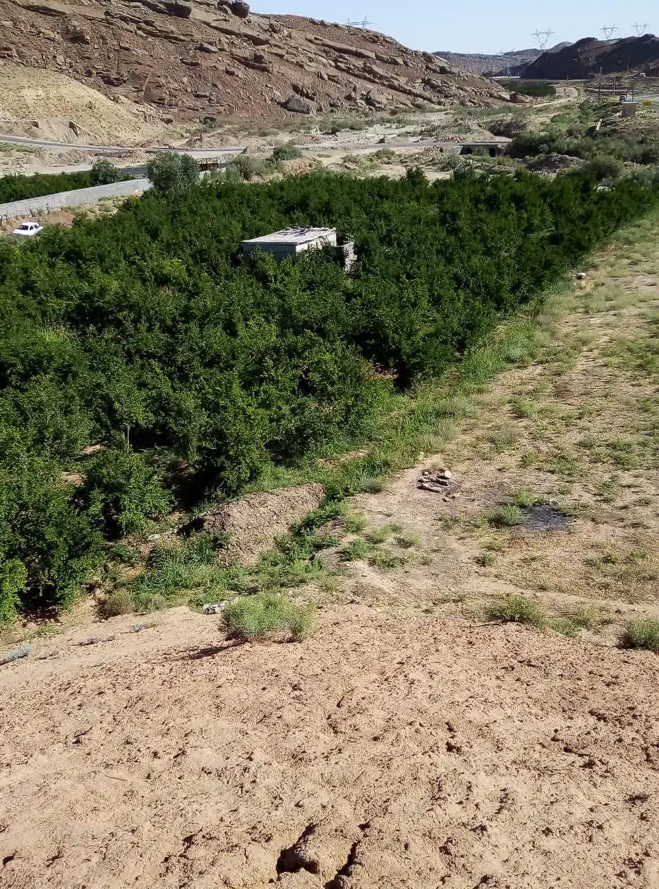 فروش باغچه در روستای دوآب دماوند