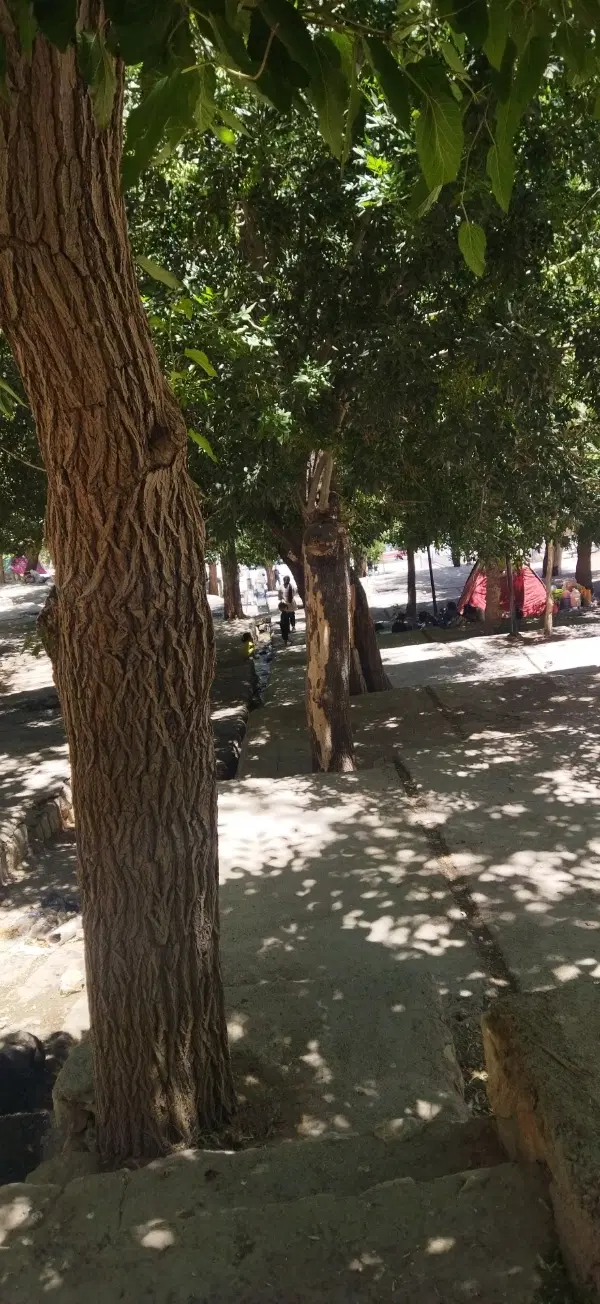 ملک برای سرمایه گذاری