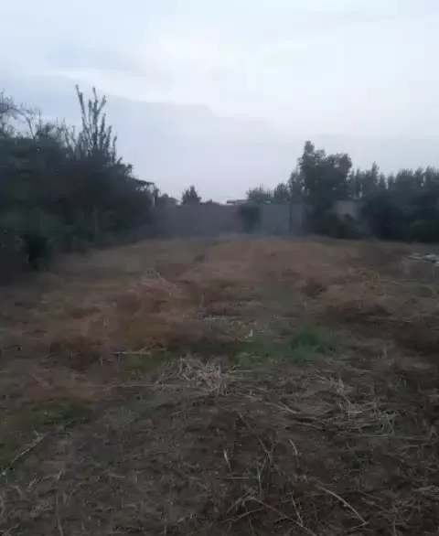 پلاک ۱۰۰۰ متری داخل بافت