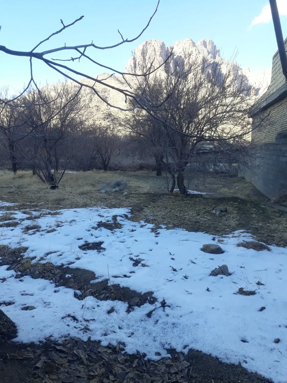 زمین مسکونی در منشاد