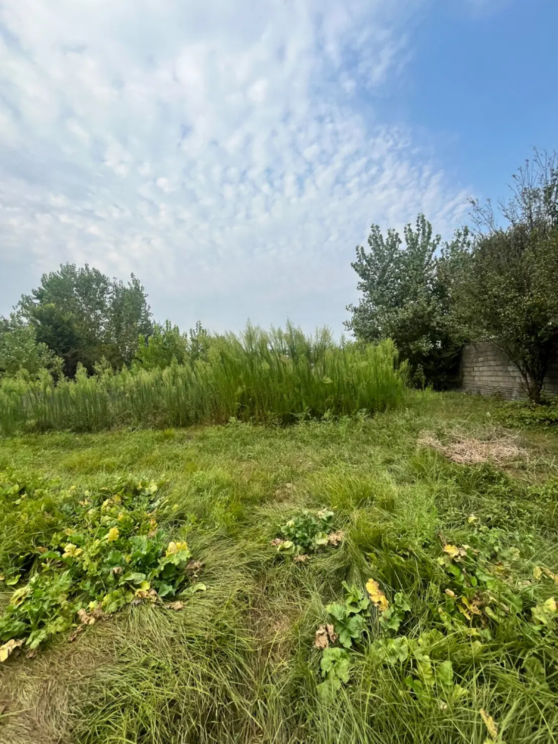 زمین ویلایی