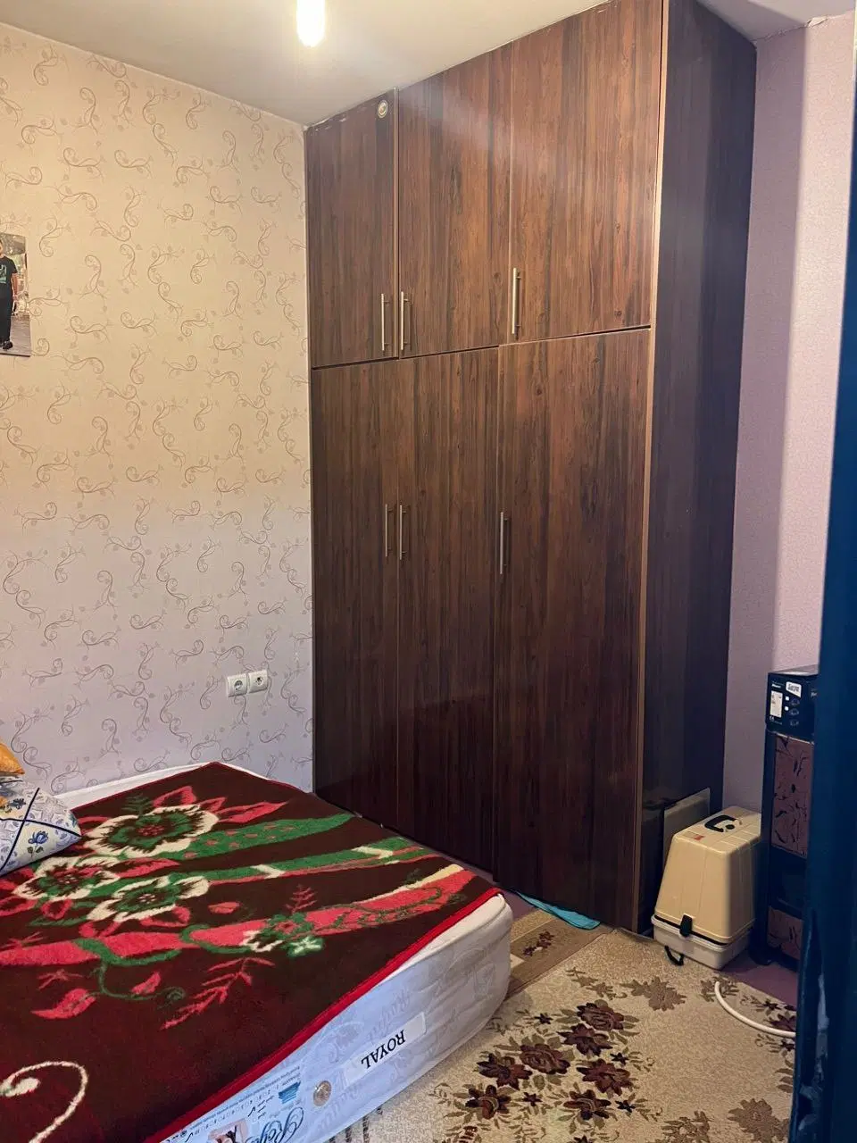 فکوری۱۱ شقایق۱۱