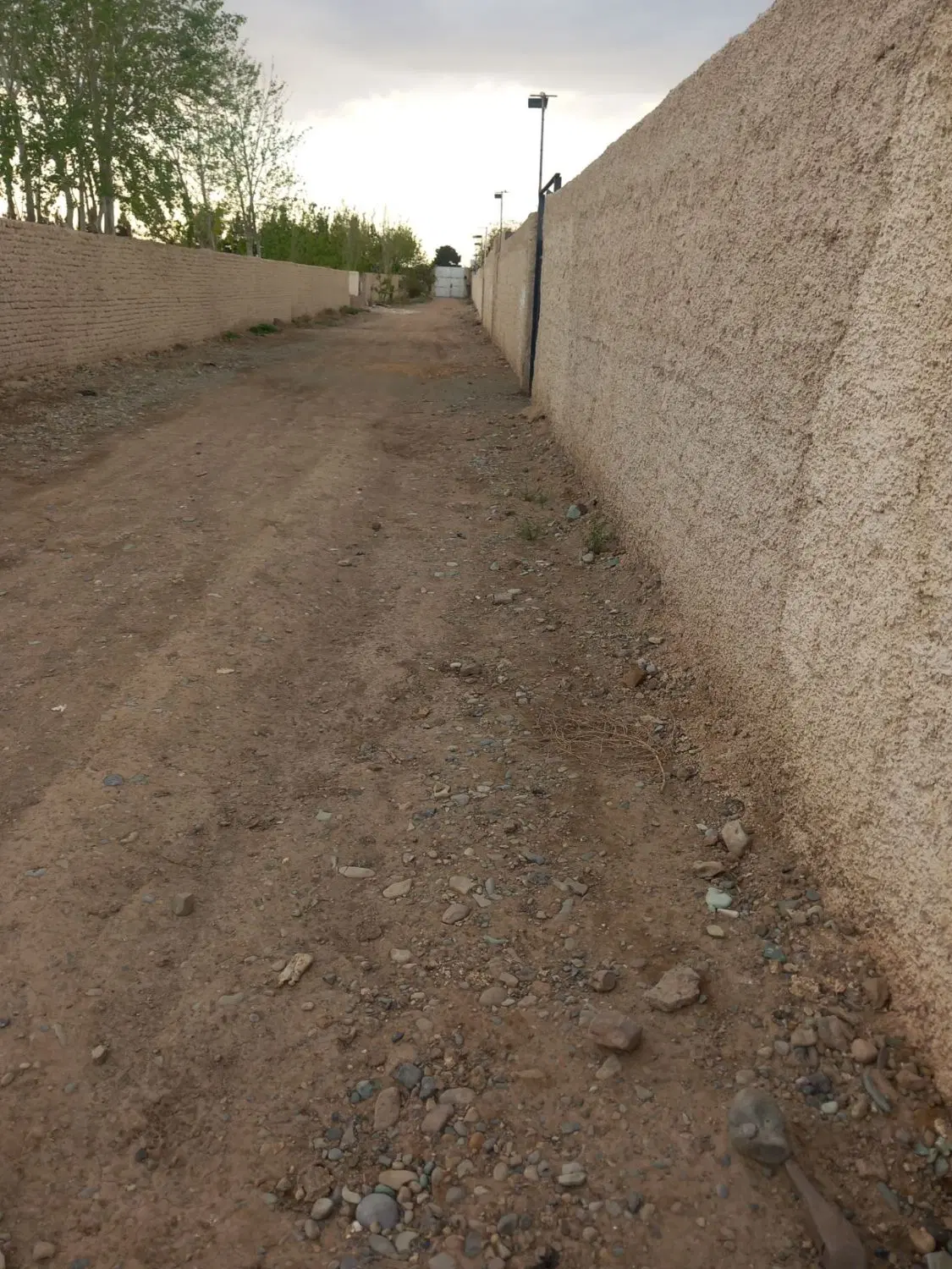 زمین باغی ۵۰۰متری