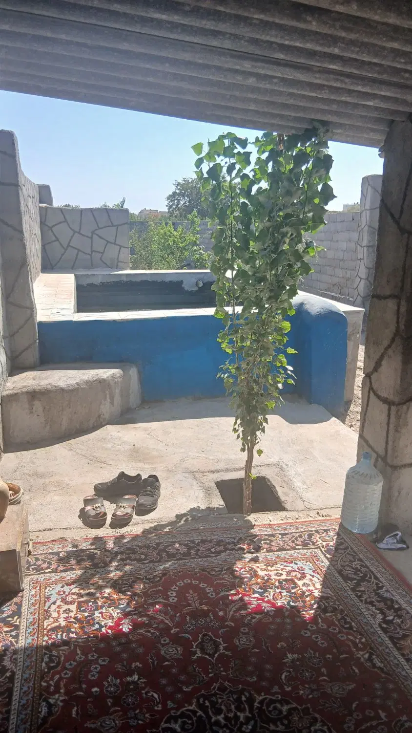 باغچه نوقلی تمیز مرتب استخر دار درختان ۴ ساله
