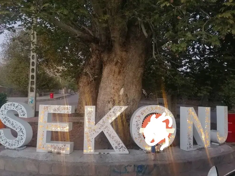 زمین مسکونی روستای گردشگری سکنج ماهان