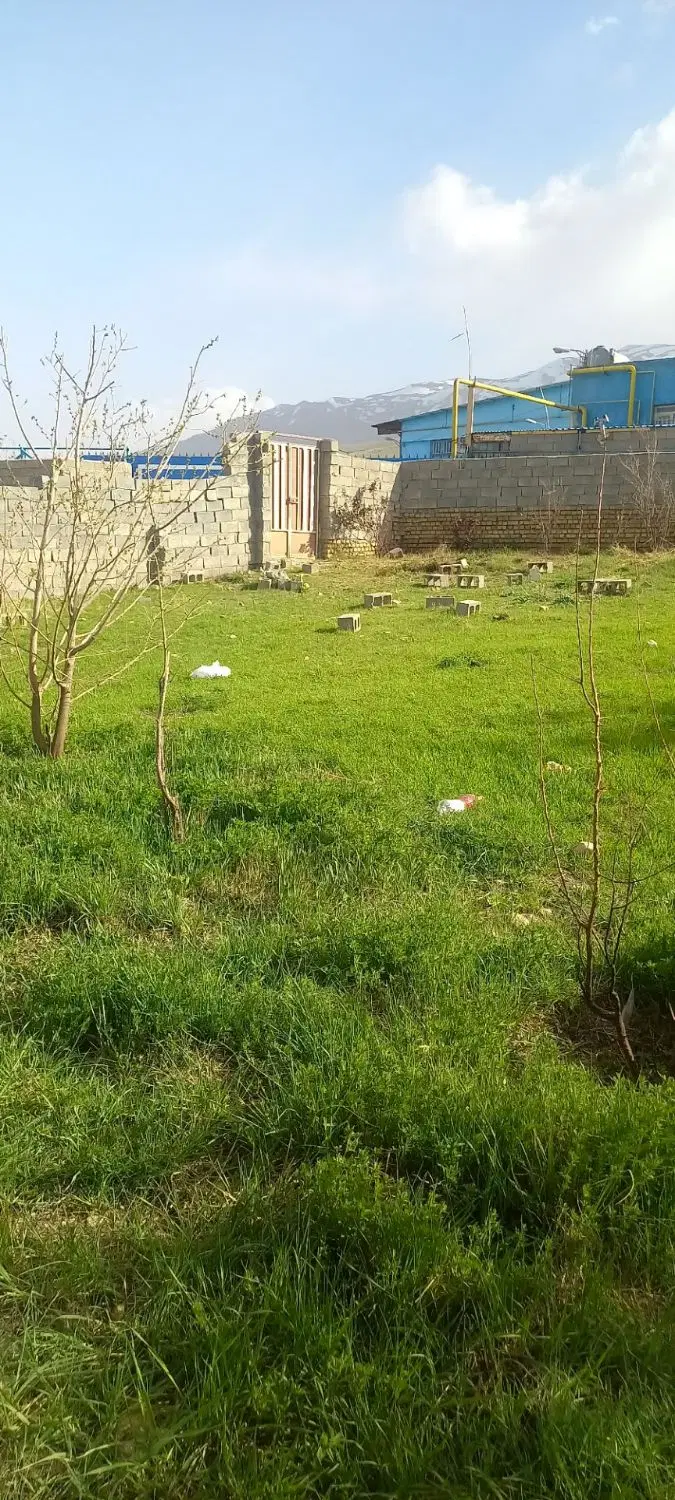 باغ طرح هادی