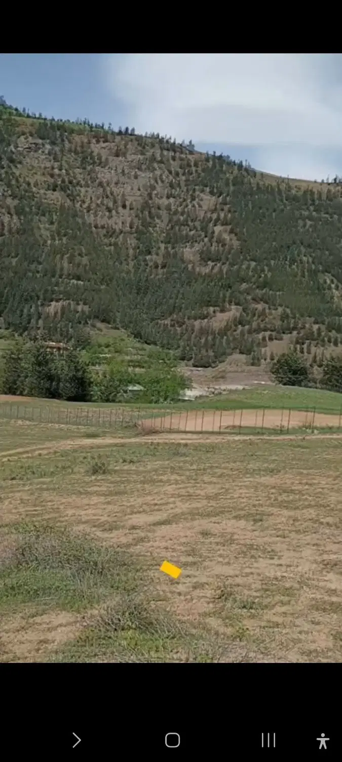 زمین باغی سند تک برگ
