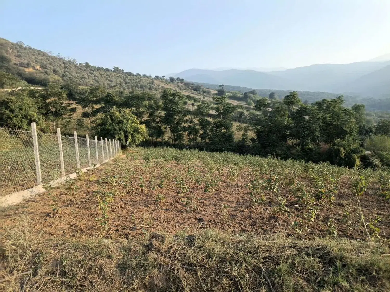 زمین روستای باغگلبن