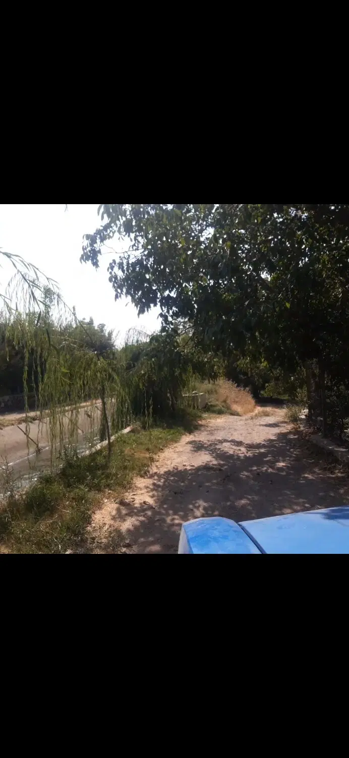 باغ پیچ آب