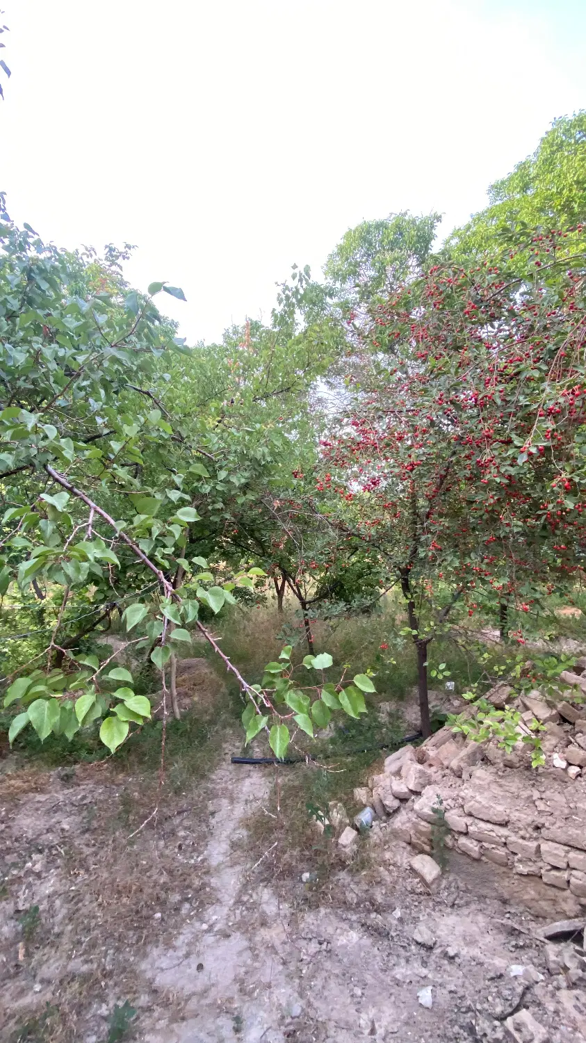 خانه به همراه باغ دیباج
