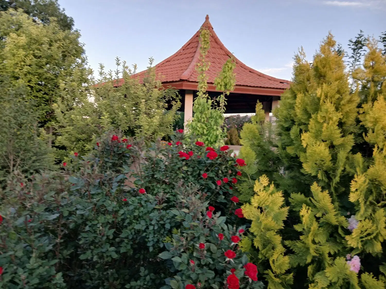 باغ و باغچه ارزان جهت زندگی در شیراز