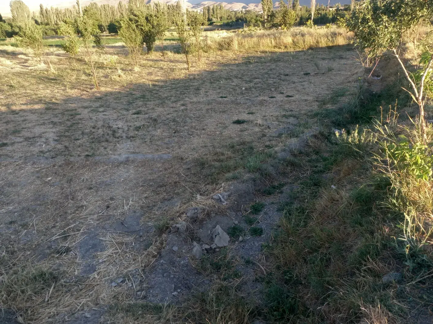 زمین باغی و کشاورزی