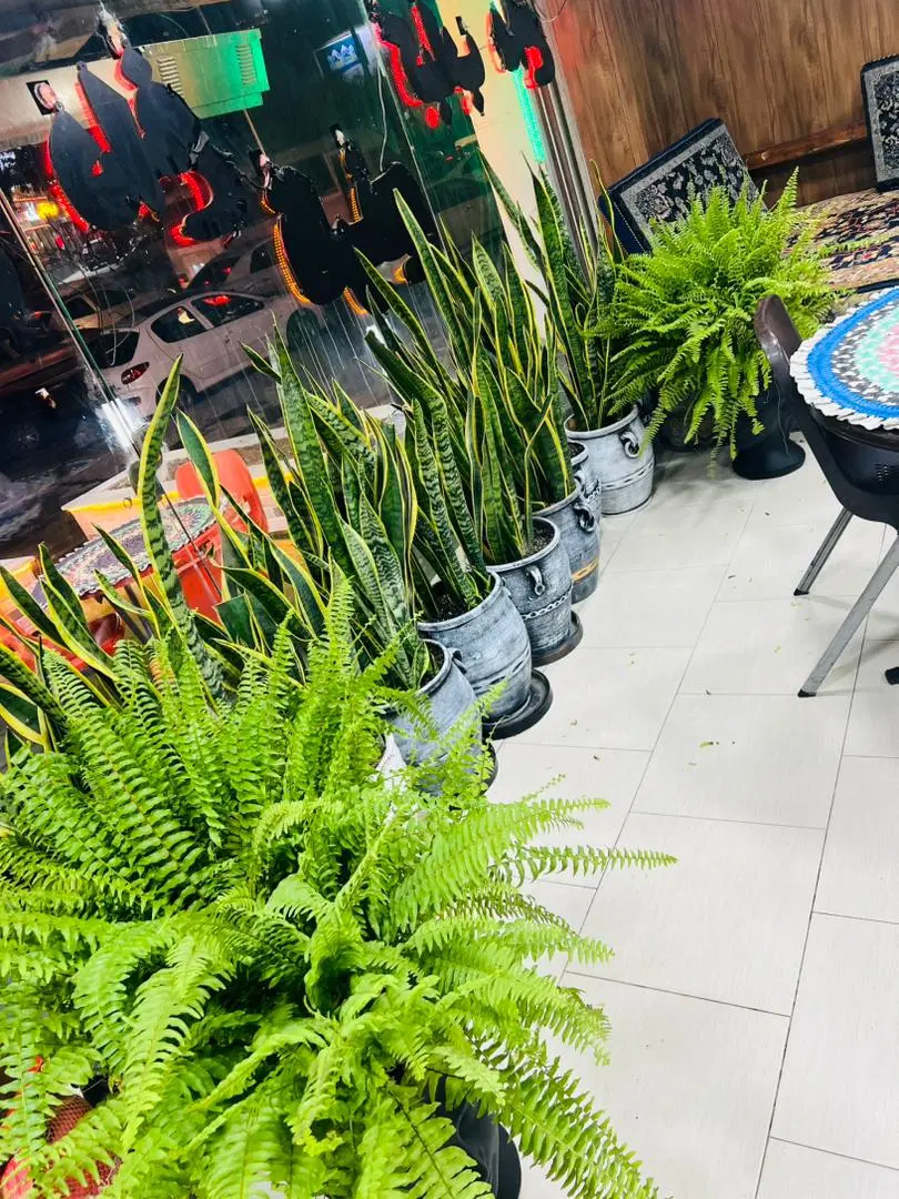 مغازه چهار نبوت
