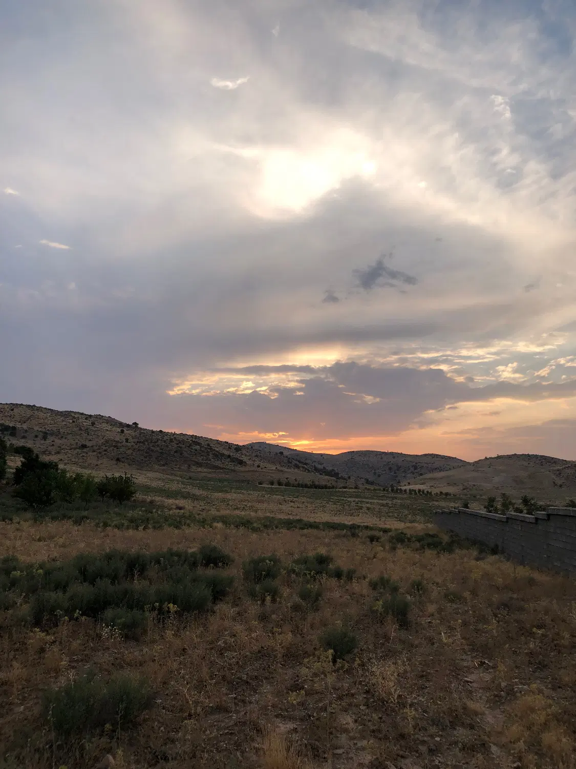 فروش زمین باغی