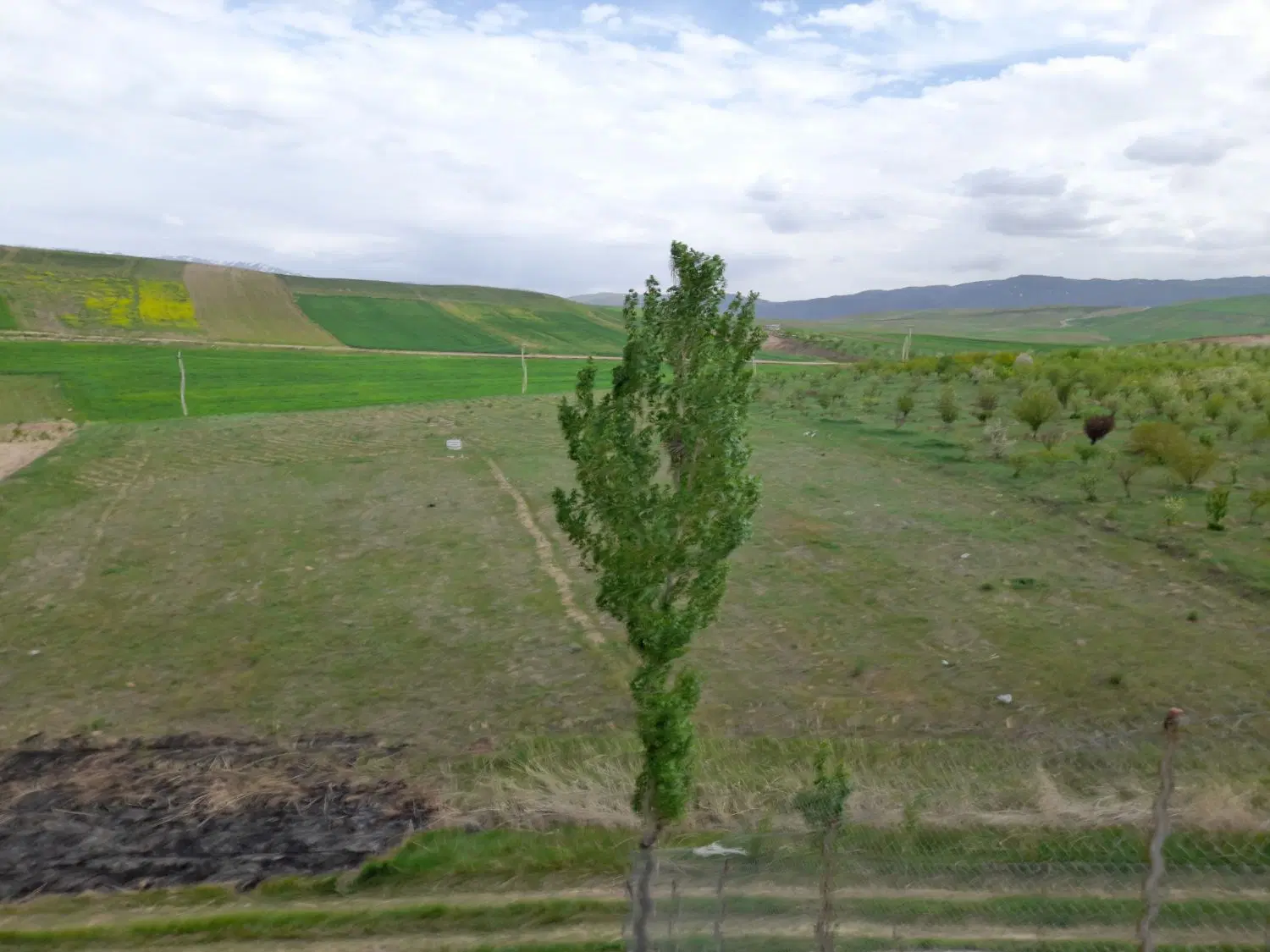 فروش زمین باغ در اهر روستای وردین