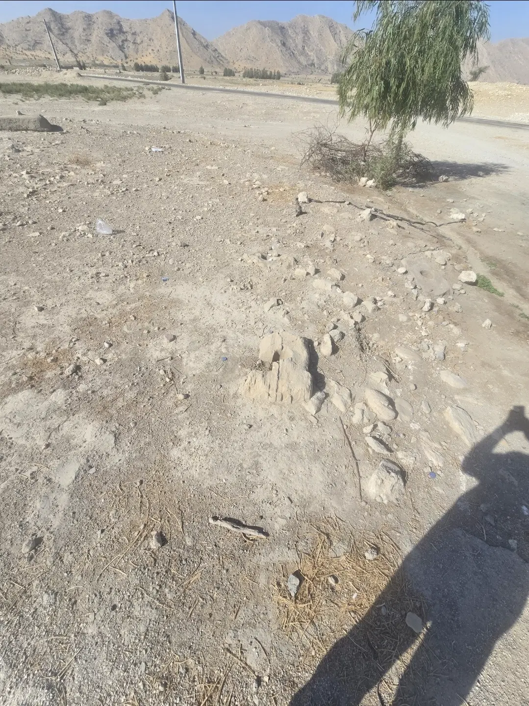 زمین بر اتوبان کازرون به کوهچنار