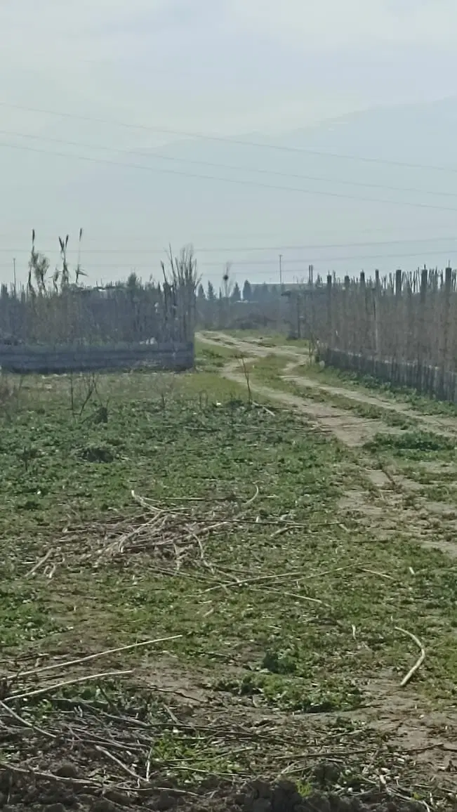 زمین باغی بین کمال اباد و سطان اباد
