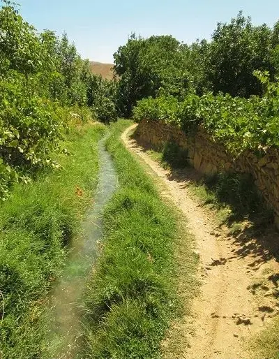 فروش باغ 2000متری