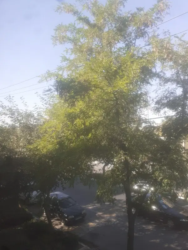 دونبش ملکی_۱۴۵ متر_شیرودی