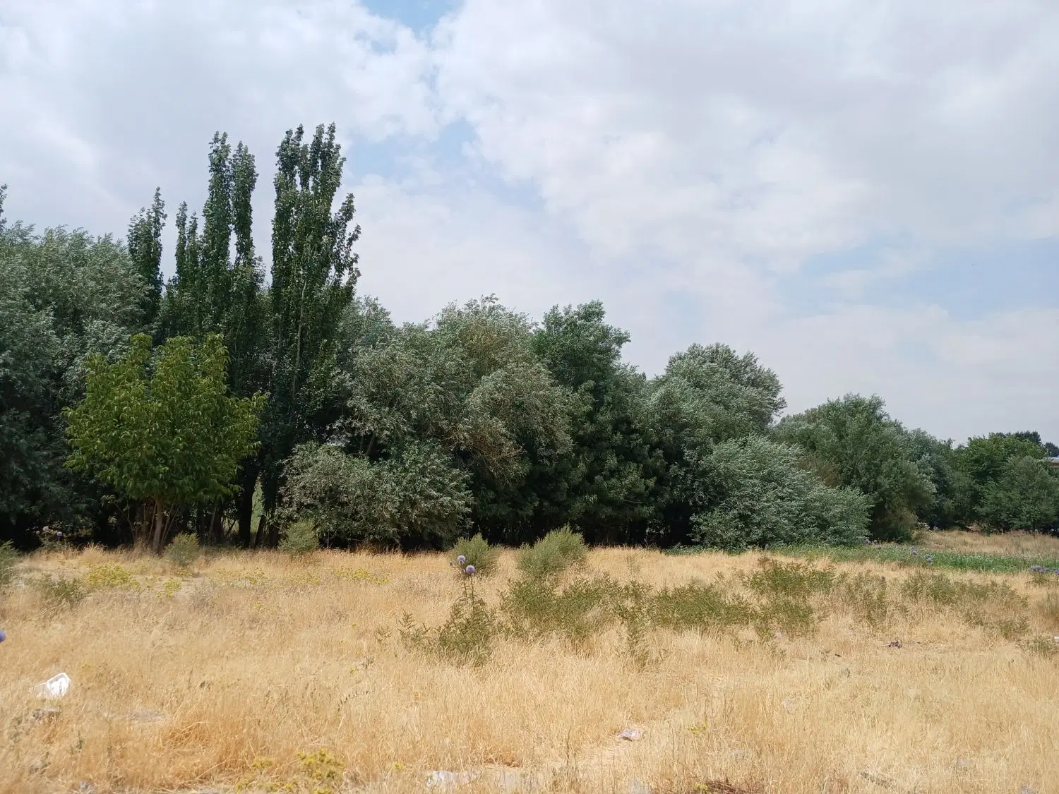 زمین مسکونی  قلعه شمسا