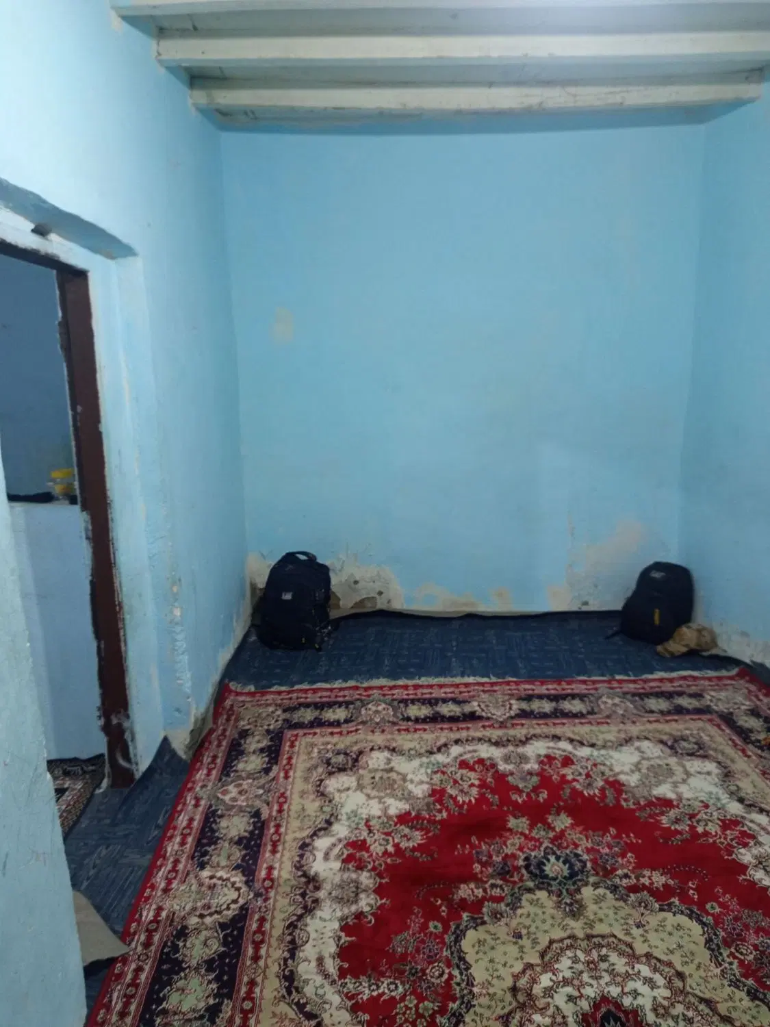 خانه موتور رو درخت سبز