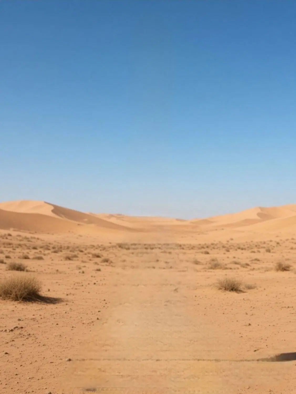 ۳ هکتار زمین اراضی دشتاب ملکی فروشی