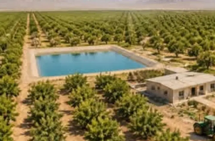 اجاره باغ پسته